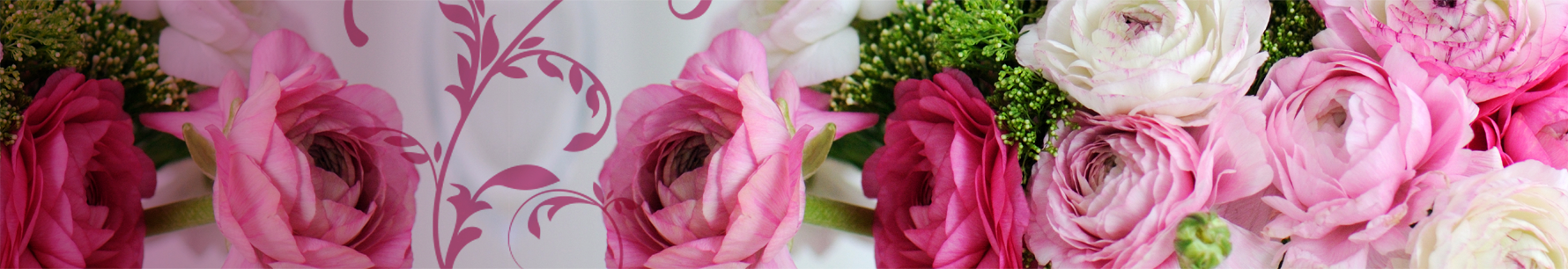 tlo header
