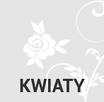 Kwiaty Tczew