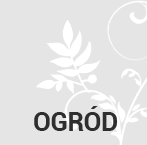 Ogrody Tczew