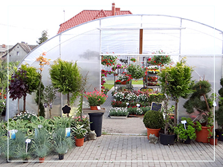 Galeria Kwiaciarnia Tczew