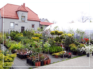 Galeria Kwiaciarnia Tczew